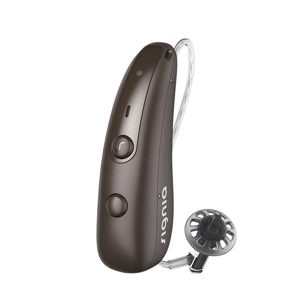 Hearing Aid